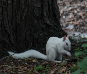 2016 06 11 WildLife MPLS 072